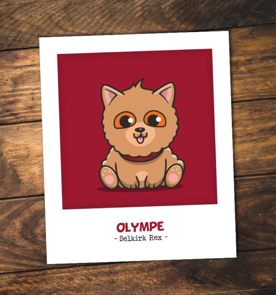 carte-olympe