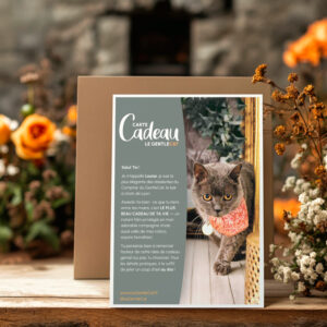 CarteCadeauBarChatLyonGentleCat2